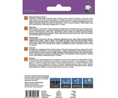 Sėklos Garden Center plunksninė žolė, 0,1 g