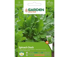 Sėklos Garden Center, rūgštynės Spinach Dock, 1 g