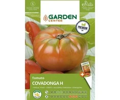 Sėklos Garden Center, pomidorai COVADONGA H, 7 vnt.