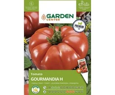 Sėklos Garden Center, pomidorai GOURMANDIA H, 5 vnt.