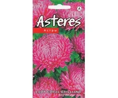 Kurzemes Seklas Kuržemės sėklos astrų Lady Coral Brilliant, 0,2 g