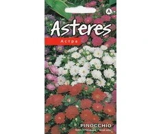 Kurzemes Seklas Astrų sėklos 0.2g Pinocchio
