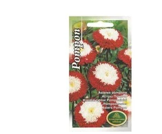 Kurzemes Seklas Sėklos Kuržemės astrų Pompon sėklos, 1 g