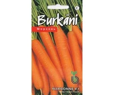 Kurzemes Seklas Morkų sėklos 1g Narbonne F1