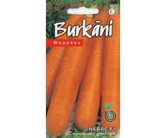 Sėklos Kurzemes sēklas, morkos NERAC F1, 1 g