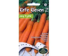 Kurzemes Seklas Morkų sėklos ant juostos 4m Rote Riesen 2