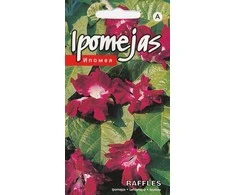 Kurzemes Seklas Kuržemės ipomoea Raffles sėklos, 4 g