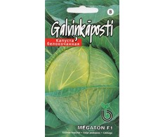 Sėklos Kurzemes sēklas, kopūstai MEGATON F1, 0.1 g