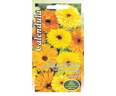 Sėklos Kurzemes sēklas medetkų Calendula Seeds, 5 g