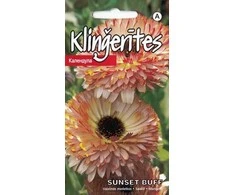 Sēklas Kurzemes sēklas, kliņģerītes Sunset Buff, 1 g