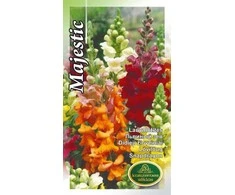 Kurzemes Seklas Sėklos Kurzeme snapdragon sėklos Majestic Seeds, 4 g