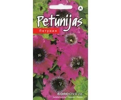 Kurzemes Seklas Petunijų sėklos 15 sėklų Bordovaja