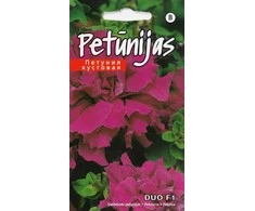 Kurzemes Seklas Petunijų sėklos Kurzemei Duo F1 Burgundy, 3 g