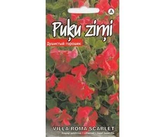 Kurzemes Seklas Sėklos Kuržemės sėklos gėlių sėklų rinkinys Villa Roma Scarlet, 4 g