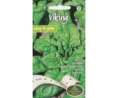 Kurzemes Seklas Špinatų sėklos ant juostos Viking 4m
