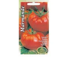 Kurzemes Seklas Pomidorų sėklos 0.5g Marmande