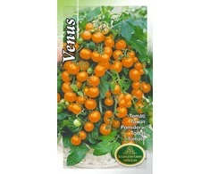 Kurzemes Seklas Balkoninių pomidorų sėklos 0.1g Venus
