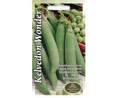 Sėklos Kurzemes sēklas, žirniai Kelvedon Wonder, 15 g
