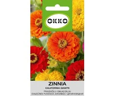 Sėklos Okko cinija California Giants, 0,5 g
