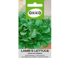 Sėklos Okko, itališkos salotos VERTE DE CAMBRAI, 0,5 g