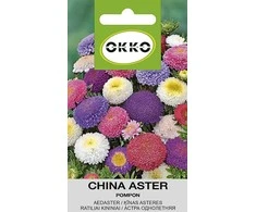 Sėklos Okko Kininis astras Pompon, 0,5 g