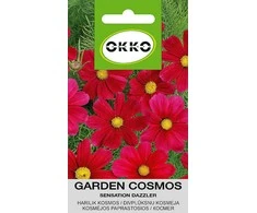 Okko Sėklos 37 vnt. 3 vnt. „Cosmos Sensation Dazzler“, 1 g