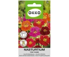 Okko Didžiųjų nasturčių TOM THUMB sėklos