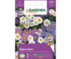 Sėklos Garden Center asters Mišinys, 0,5 g