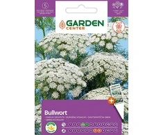 Sėklos Garden Center Karalienės Anos nėriniai, 1 g
