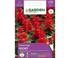 Sėklos Garden Center šalavijų ROCKET, 0,4 g