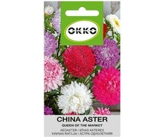 Sėklos Okko kiniškas asteras 'Market Queen of the Market', 0,5 g