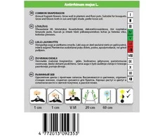 Sėklos Okko snapdragon Rainbow, 0,2 g