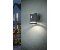 Sieninis šviestuvas Šviestuvas Reality Salta R22231142, 3W, IP44, antracito