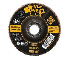 Forte_Tools Žiedlapinis šlifavimo diskas Forte tools, 125x22.23 mm