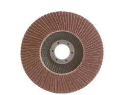 Haushalt Stabilus FLAP DISC 116.00 115X22 NO40