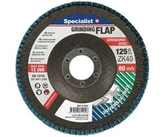 Žiedlapinis šlifavimo diskas SPECIALIST+, 125 x 22,22 mm, cirkonis, ZK40