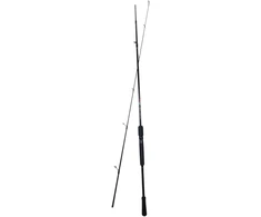 Spinings Pro Catch 210cm