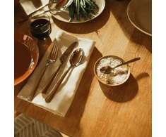 Stalo įrankių komplektas Fiskars FF, sidabro sp.