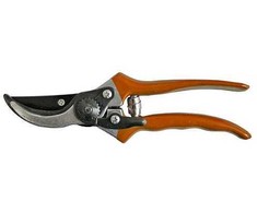 STRENDPRO Strend Pro P0807 sodo žirklės vynuogėms ir šakoms 200 mm