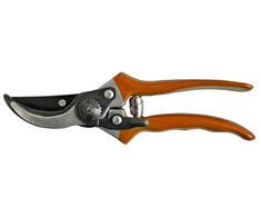 STRENDPRO Strend Pro P0807 sodo žirklės vynuogėms ir šakoms 200 mm