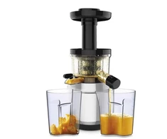 Lėtaeigė sulčiaspaudė Tefal Juice &amp; Clean ZC420E38, 150 W