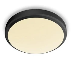 Šviestuvas lubų Philips Doris 929002665101, LED, 2700 °K, 1 x 17 W