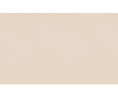 Rasch WALLPAPER VINYL 820010 TEXT WARM Baltas