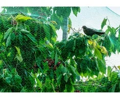 Tīkls pret putniem Garden Center BND10-01515, 10 m x 400 cm