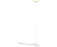 Šviestuvas Reality Spectrum R47842131, 21 W, LED