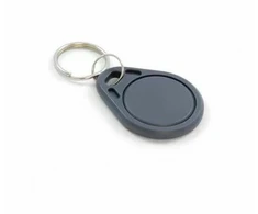 Touchmemory Elektroninis raktas T5577