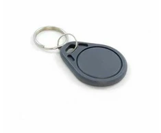 Touchmemory Elektroninis raktas T5577