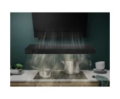 Electrolux MCFE18ST Carbon filter for gartraukis Juodas