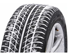 Westlake SW608 205/55R16 91 H