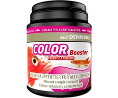 DENNERLE spalvą stiprinantis žuvų maistas, 200 ml